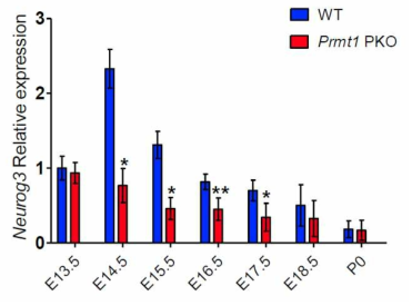 췌장 선조 세포 특이적 Prmt1 제거 마우스 (Prmt1 PKO)에서 embryonic day (E) 14.5부터 NGN3의 전사체 발현이 정상 대조군에 비해 증가하지 않는 것을 확인하였음