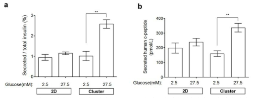 베타세포 클러스터의 고농도 포도당 자극에 대한 인슐린의 분비 양상 확인