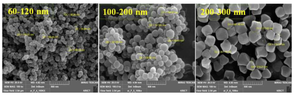 합성 농도 및 온도에 따라 합성된 KRICT F400의 주사전자현미경 사진