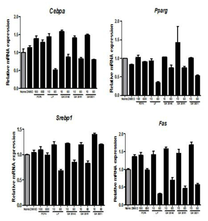 Effects of the novel Tph-1 inhibitors on adipocyte differentiation of the mouse 3T3-L1 cells. Real-time PCR results of Tph-1 inhibitors-treated 3T3-L1 cells at day 6. The results represent at least three independent experiments, and 36B4 was used as an internal control. Values represent mean±s.e.m
