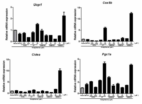피하지방전구세포의 베이지지방분화중 Tph1 신규 선도물질의 영향