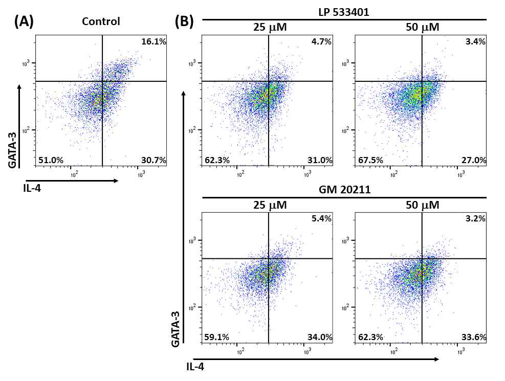 Tph-1 inhibitor GM20211 controls the differentiation of Th2 cell lineage. Naïve T cells isolated from C57BL/6J mice were differentiated into Th2 by treatment with anti-CD3, anti-CD28, anti-IFNg, anti-IL-2 and anti-IL-4 for 3 days. (A) The percentages of GATA3+/IL-4+ T cells without Tph-1 inhibitor. (B) The percentages of GATA3+/IL-4+ T cells with different concentrations of LP533401 or GM20211. Data are representative of three independent experiments