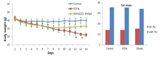 선도물질 GM20211의 비만 질환모델에서의 체중 감소 효과