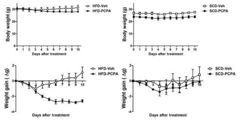 Thermoneutral(30℃) 환경에서 PCPA 투여 시의 체중변화