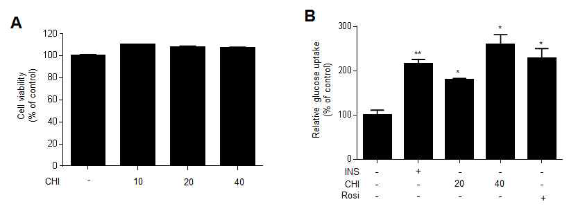 NMRC-336이 분화완료된 L6-GLUT4myc 근육세포의 세포 생장과 포도당 흡수능에 미치는 영향
