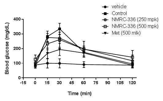 NMRC-336에 의한 경구 포도당 투여에 의한 혈당 증가 억제 효과 확인