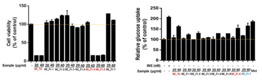 SE 분획의 세포 독성(왼쪽) 및 근육세포에서의 포도당 흡수능(오른쪽)