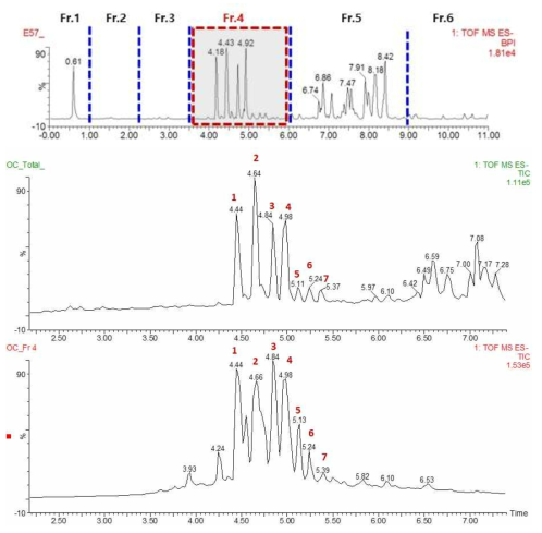 OC 추출물중 활성분획물 Fr.4 부분의 UPLC-QTof-MS 크로마토그램