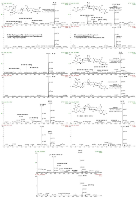 OC 활성분획물 Fr.4의 예상화합물 7종의 MS, MS/MS 데이터