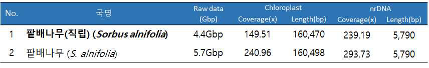 직립팥배나무와 팥배나무의 엽록체 genome 및 45S rDNA 서열 정보