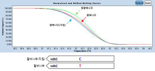 직립팥배나무 및 팥배나무 간 엽록체 염기서열 변이 지역 기반 마커 적용 (Sa_h_01) 및 모식도