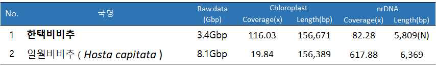 한택비비추와 일월비비추의 엽록체 genome 및 45S rDNA 서열 정보