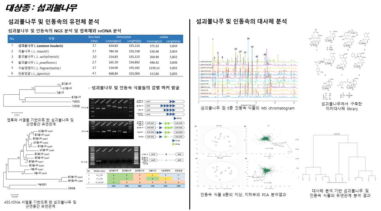 섬괴불나무 및 인동속식물에 관한 유전체, 대사체 연구결과 개요