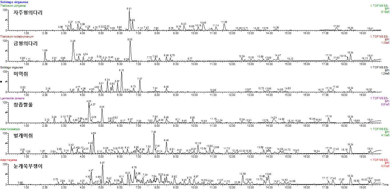 구축된 추출물 library를 이용하여 확보한 각 식물별 고해상도 질량분석기 기반 chemical profile의 예 (상단부터, 자주꿩의다리, 금꿩의다리, 미역취, 참좁쌀풀, 벌개미취, 눈개쑥부쟁이)