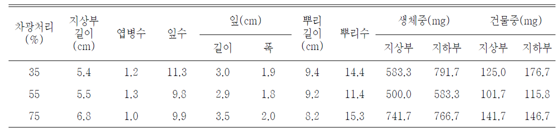 차광처리가 미역취(제주)의 발아 및 생육에 미치는 영향