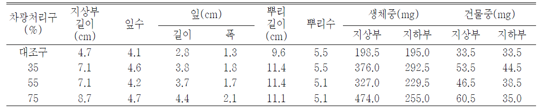 차광처리가 일월비비추‘퍼스트벨’의 발아 및 생육에 미치는 영향