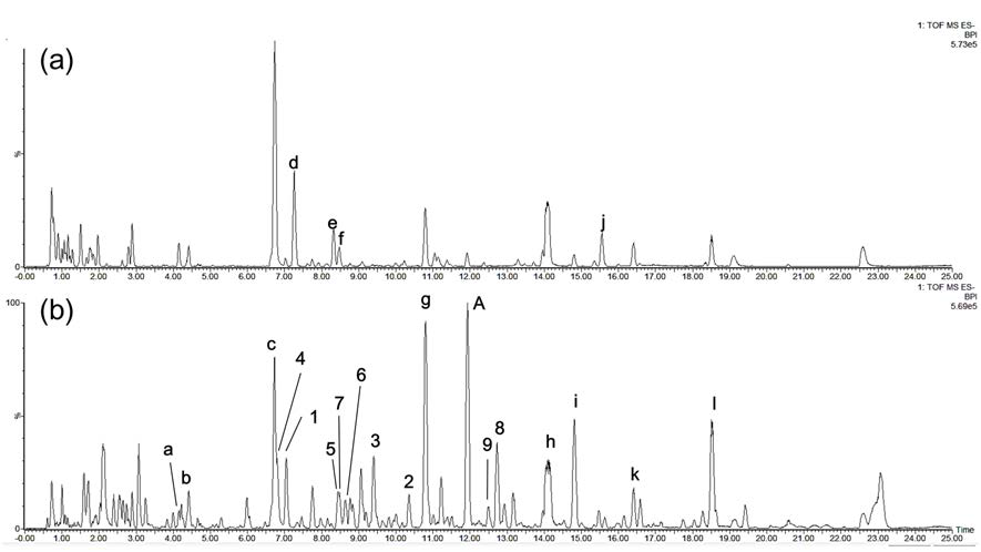 (a) 대추나무 뿌리 추출물 및 (b) 헛개나무 뿌리 추출물의 UHPLC– Q/TOF–MS 크로마토그램