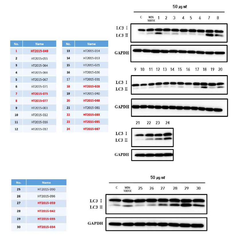 유용 자원 식물 30종의 Autophagy 유도 효과