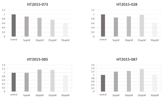 제HT2015-073, HT2015-028, HT2015-085, HT2015-087의 세포독성 검증