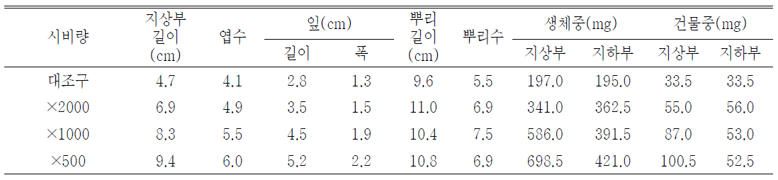 시비량 처리가 일월비비추‘퍼스트벨’ 의 발아 및 생육에 미치는 영향