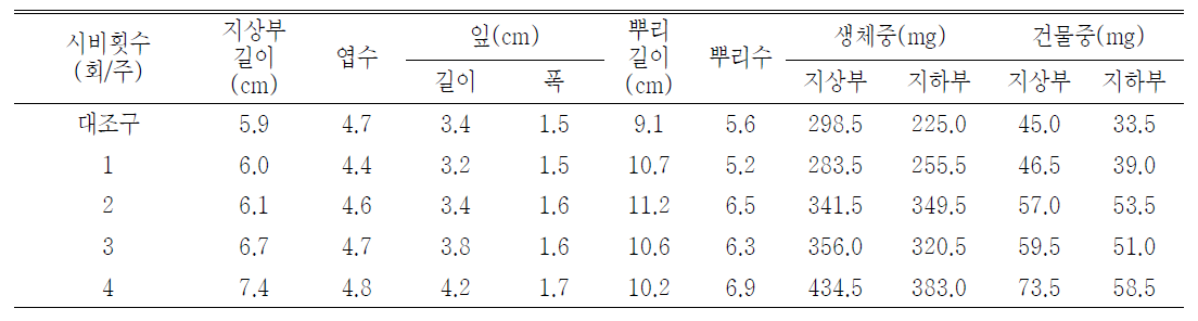 시비횟수 처리가 일월비비추‘퍼스트벨’의 발아 및 생육에 미치는 영향