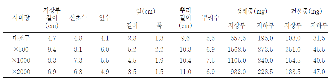 시비량 처리가 패랭이꽃(제주)의 발아 및 생육에 미치는 영향