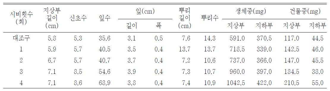 시비횟수 처리가 패랭이꽃(제주)의 발아 및 생육에 미치는 영향