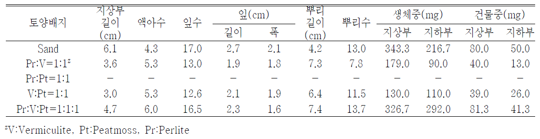 플러그 트레이 용토가 한라노루오줌 발아 및 생육에 미치는 영향