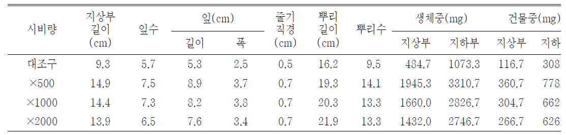 포트 육묘시 시비량 처리가 비비추(백석산)의 생육에 미치는 영향