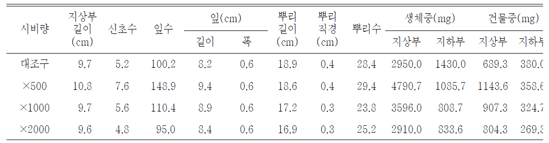 포트 육묘시 시비량 처리가 술패랭이(왜성)의 생육에 미치는 영향