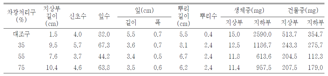 포트 육묘시 차광처리가 패랭이꽃(제주)생육에 미치는 영향