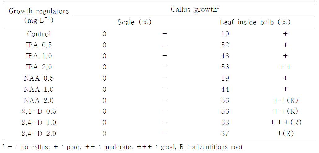 기내배양시 생장조절제 종류 및 농도처리가 HT2015-074의 캘러스 형성에 미치는 영향