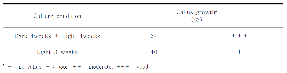 기내배양시 광조건이 HT2015-074의 캘러스 형성에 미치는 영향