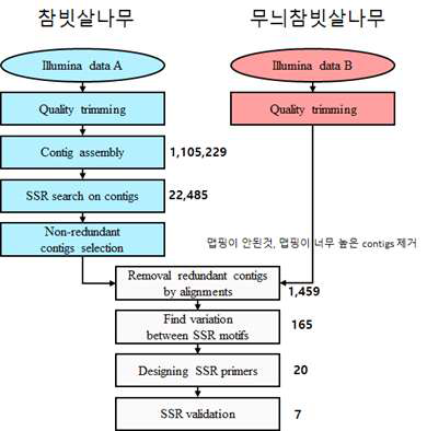 NGS 데이터를 이용한 SSR 마커 개발 전략