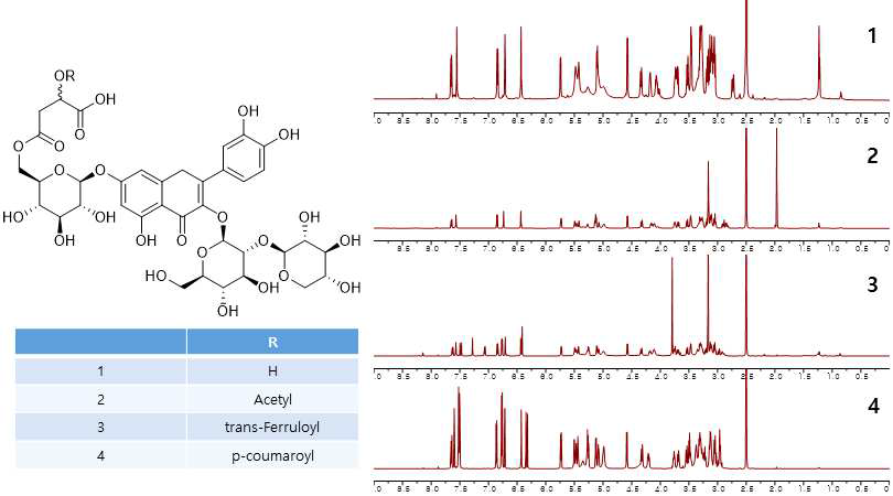 무늬참빗살나무 특이 성분 확보 (malylated flavonoid glycosides 류) 및 화합물의 1H NMR spectrum