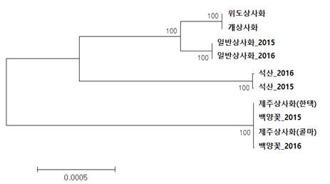 엽록체 서열을 기반으로 한 상사화 10종간 유연 관계