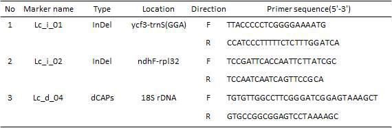 엽록체 및 45S rDNA 염기서열 변이 기반 마커정보