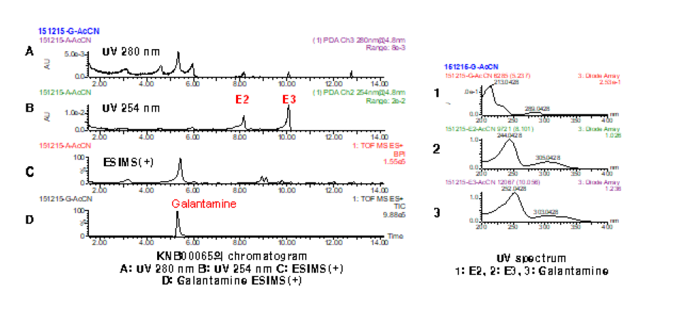 UHPLC-UV-qTOF-MS를 이용한 제주상사화 추출물의 중 galantamine의 함유 확인