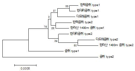 45S rDNA 서열을 기반으로 한 한택곰취 및 근연 종간 유연관계