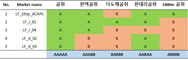 엽록체 및 45S rDNA 서열 기반 마커를 이용한 한택곰취 및 근연종의 구별