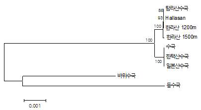 엽록체 서열을 기반으로 한 한택산수국 및 근연종 8종간 유연관계