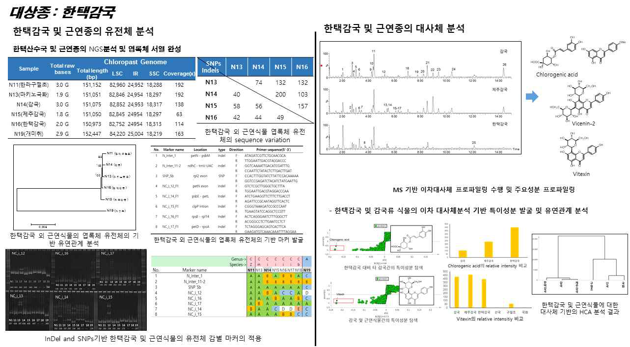 한택감국 및 근연종에 관한 유전체, 대사체 연구결과 개요