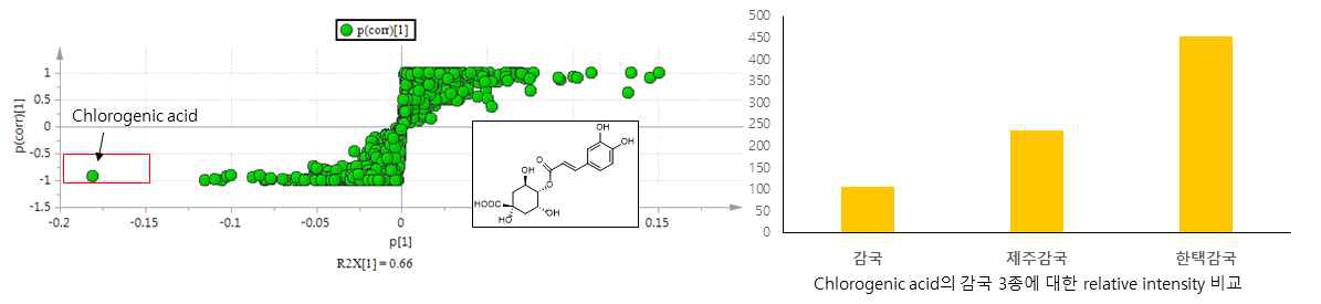 한택감국의 타 감국 2종에 대한 특이성분 발굴 (chlorogenic acid) 및 relative intensity 비교