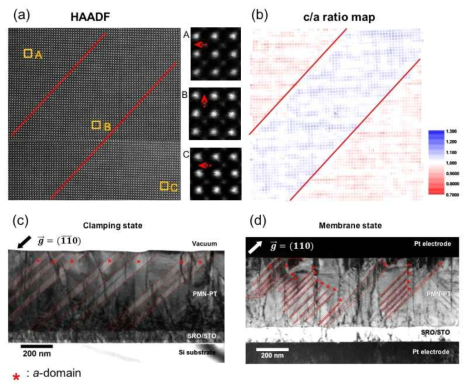 (a) a-domain과 c-domain 경계에서의 HAADF-STEM 이미지 (b) c/a ratio map (c) Clamping state의 TEM 명시야상 이미지 (d) Membrane state의 TEM 명시야상 이미지