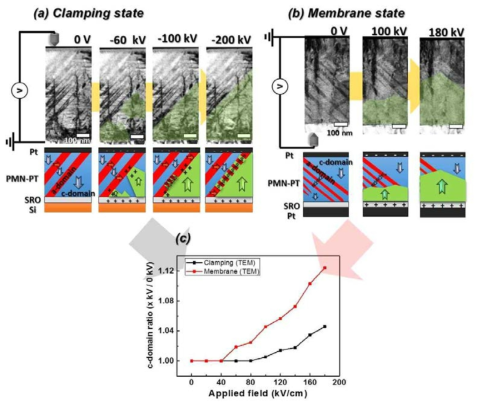 외부 전계에 의한 PMN-PT 박막 시스템의 실시간 강유전domain의 관찰. (a) Clamping state (b) Membrane state (c) 전계 인가에 따른 c-domain의 변화율 그래프