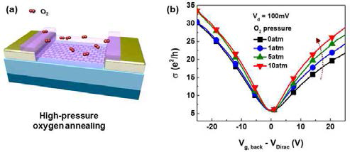 (a) GFET 구조 및 고압산소열처리 모식도, (b) 산소 압력에 따른 Id-Vg 특성 변화