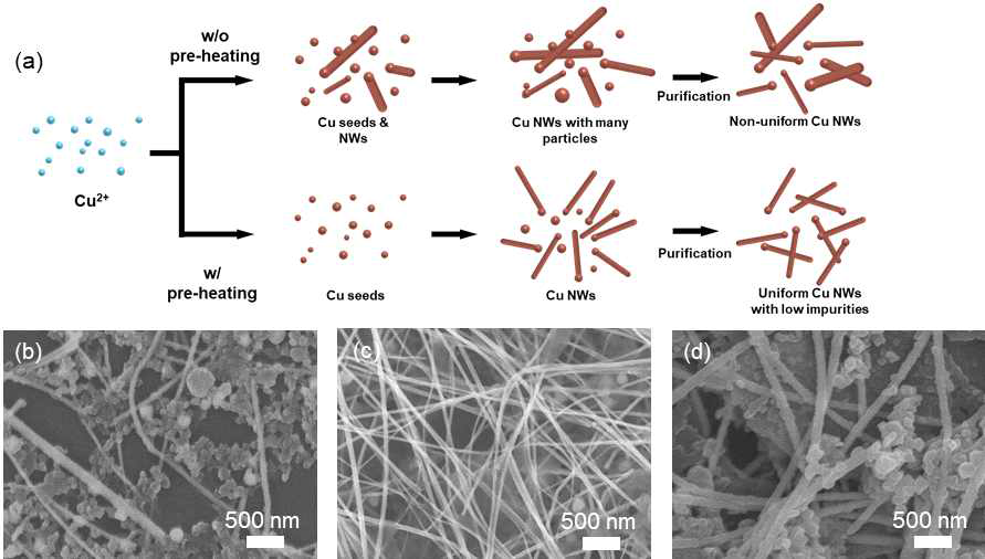 (a) Pre-heating 공정 도입 전, 후 성장되는 구리 나노선의 모식도와 pre-heating시간 별 구리 나노선의 SEM 이미지: (b) 0시간, (c) 3시간, (d) 12시간