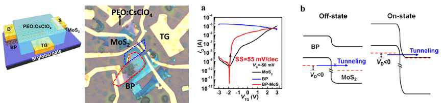 Ion-gel gating 방법을 통한 터널린 소자 특성 향상 (SS = 55mV/dec)