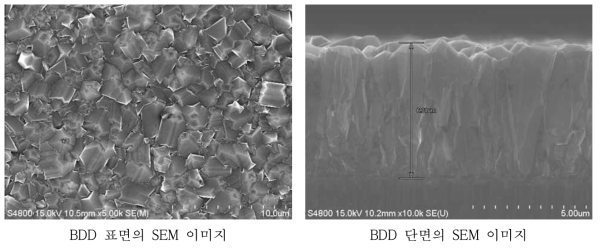 BDD의 표면 및 단면 SEM 이미지