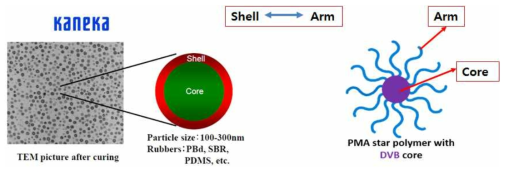 본 과제에서 개발되는 입자성 중간체인 성형 공중합체 형상